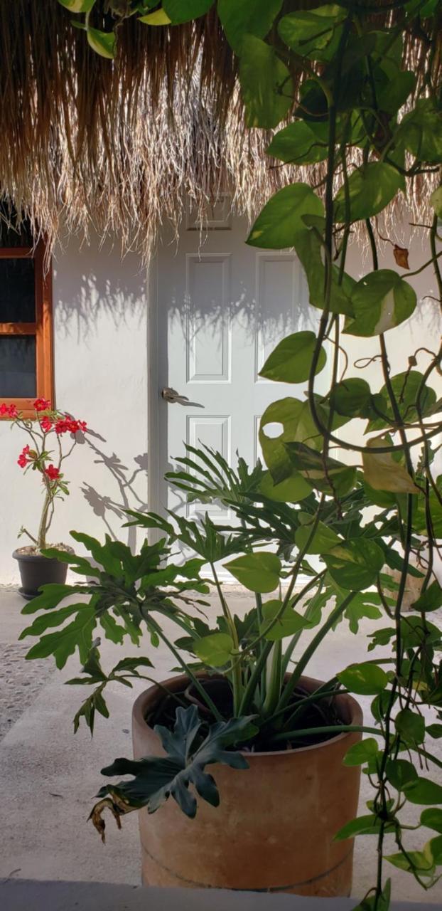 Hotel Poza Clara Sanctuary à Bacalar Extérieur photo